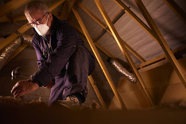 Best Attic Insulation Installation  in Harper, TX